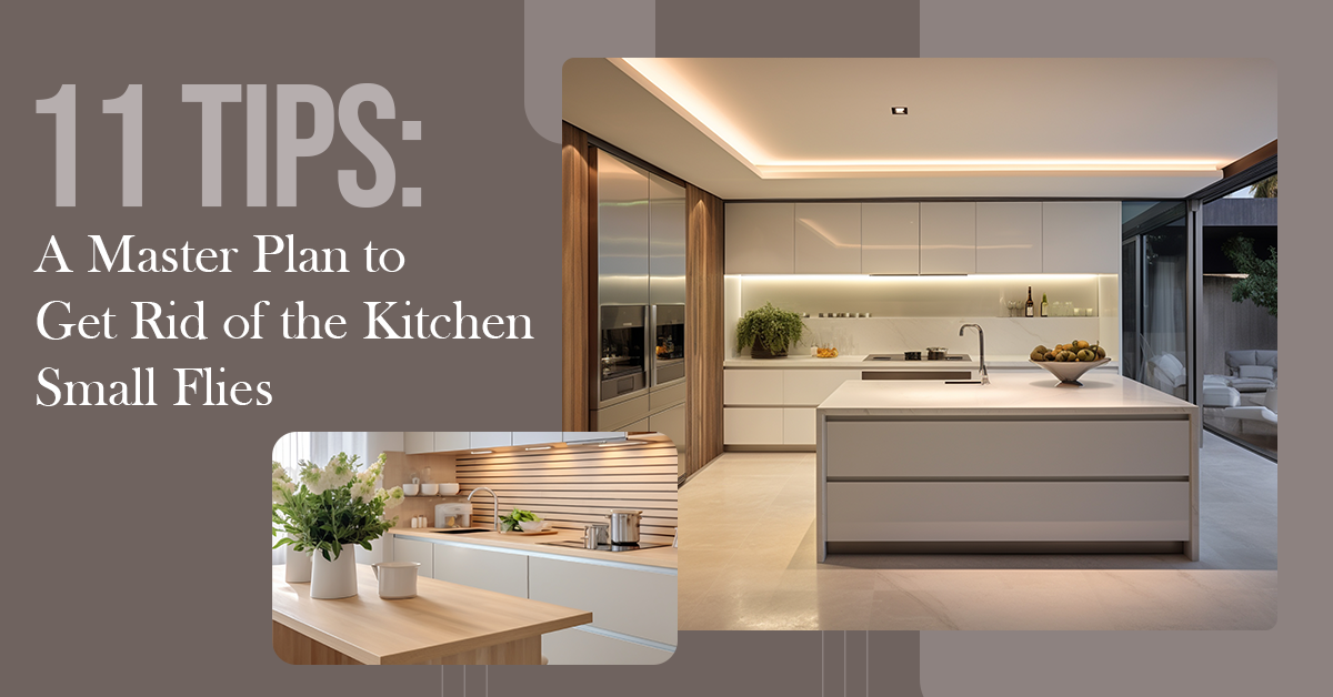 11 Tips: A Master Plan to Get Rid of the Kitchen Small Flies