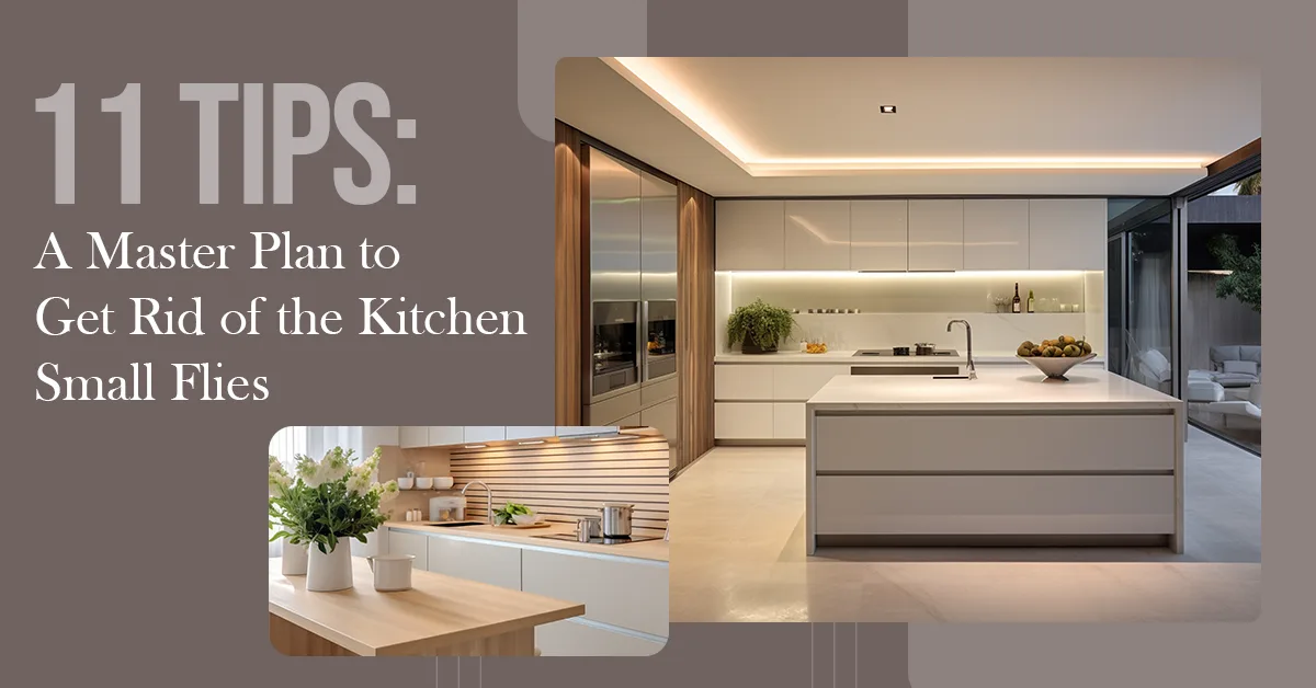 11 Tips: A Master Plan to Get Rid of the Kitchen Small Flies